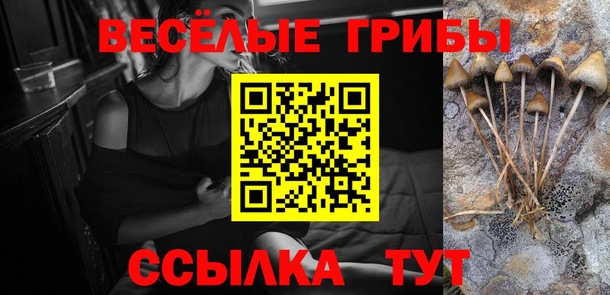 Псилоцибиновые грибы прущие грибы Прокопьевск