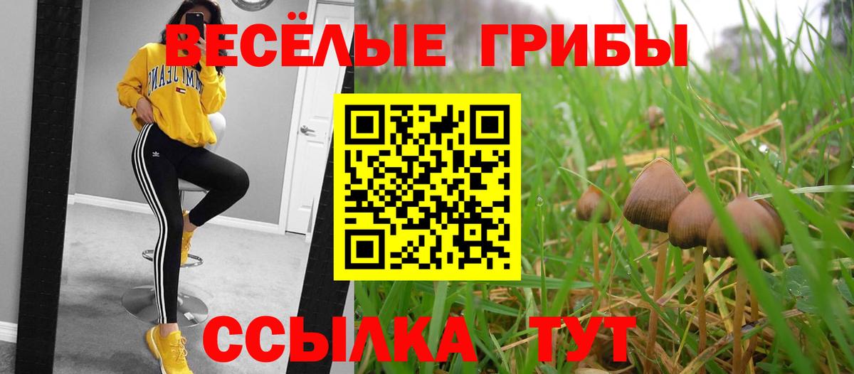 Галлюциногенные грибы Magic Shrooms  Вход с VPN  Прокопьевск 
